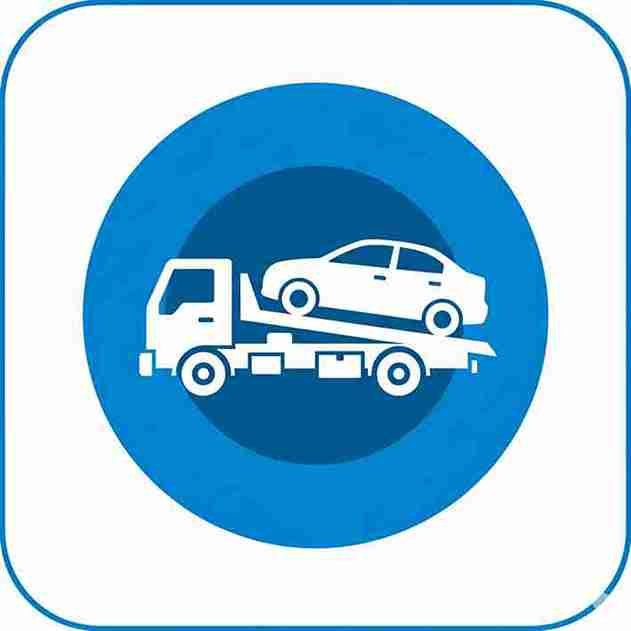 Guincho em São Bernardo do Campo